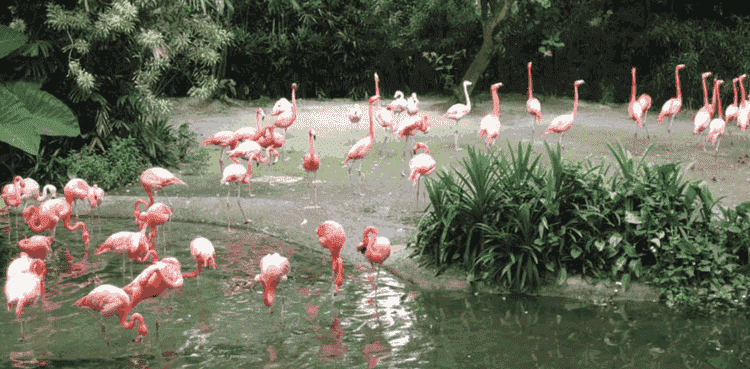 KL Bird Park Lake Garden