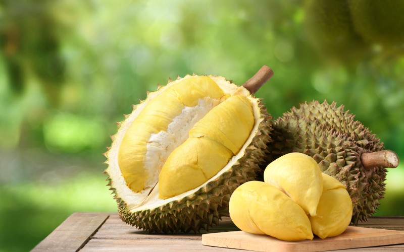 Durian Fruit in Malaysia