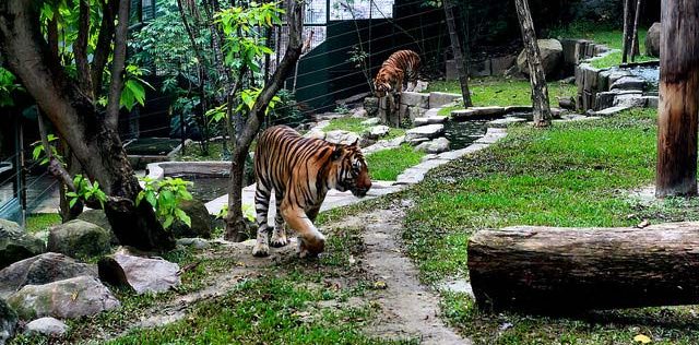 Sunway Lagoon is among best things to do in malaysia