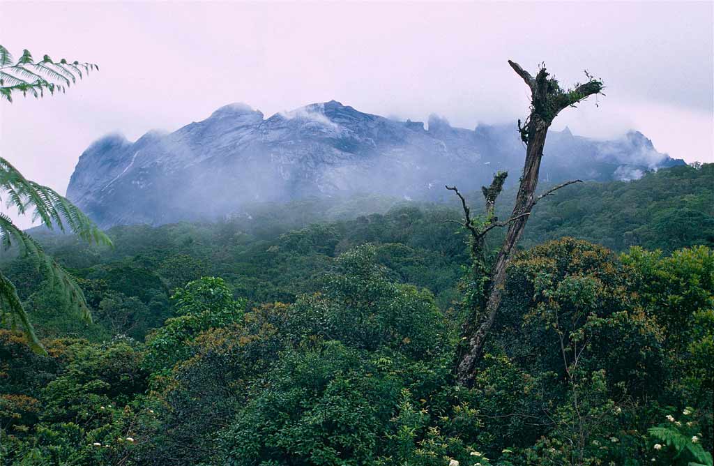 Mount Kinabalu