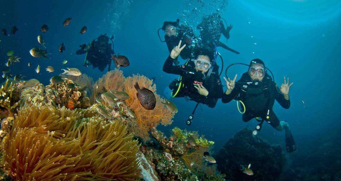 Scuba Dive Redang Island