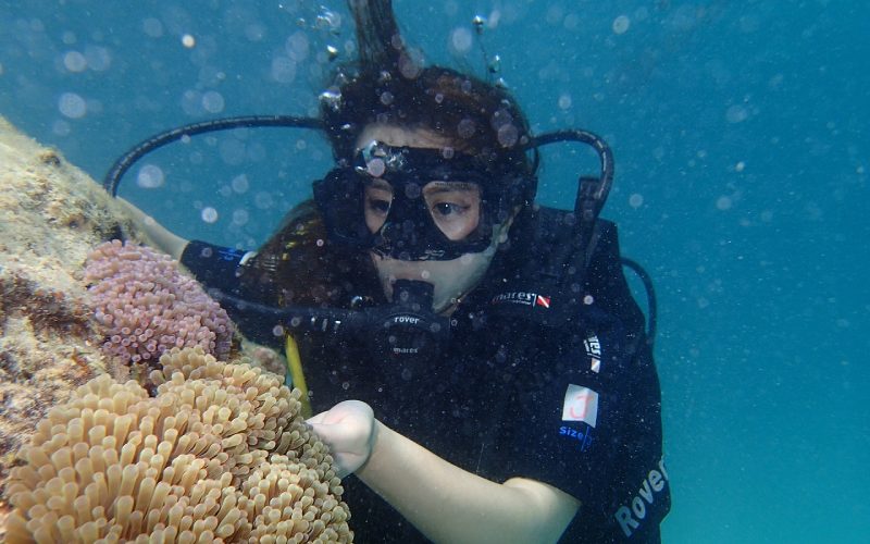 Underwater world Malaysia’s islands