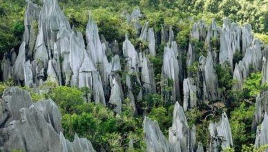 Gunung Mulu National Park