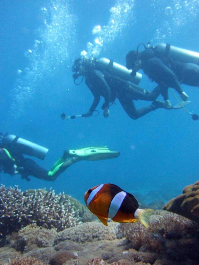 Top Scuba Diving Spots in Malaysia for Adventure