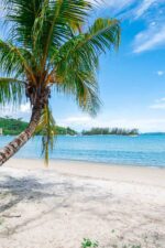 Scenic tropical beach with a leaning palm tree on Perhentian Islands, Malaysia